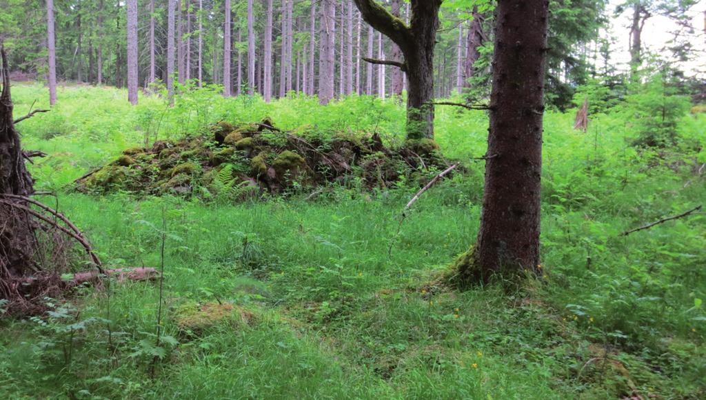Närområdets fornlämningsmiljö har beskrivits i den arkeologiska utredningen etapp 1.