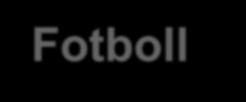 Styrelse Kontaktlista Roll Namn Telefon E-post