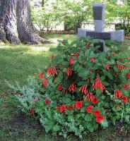 AUKTORISERAD BEGRAVNINGSBYRÅ Ett blommande paradis på graven! Med våra självvattnande blomlådor finns det inga begränsningar. Hos oss hittar du även gravvaser i både plast, sten och marmor.