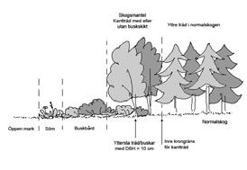 6.3 Skogskant 6.3 Skogskant Krav för normalskog : Måste vara minst 20 meter bred (räknat från inre krongräns för skogsmantel, d.v.s. där normalskogen börjar, se definitioner nedan).