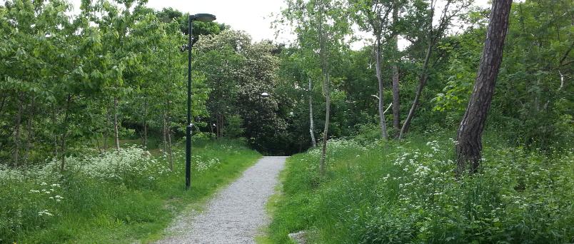 JOHANNESHOVSVÄGEN LEK GULLMARSPLAN T NYNÄSVÄGEN På norra sidan avgränsas tomten av en nivåskillnad, delvis berg i dagen, som fungerar som en naturlig