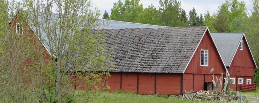 traditionella ekonomibyggnader 