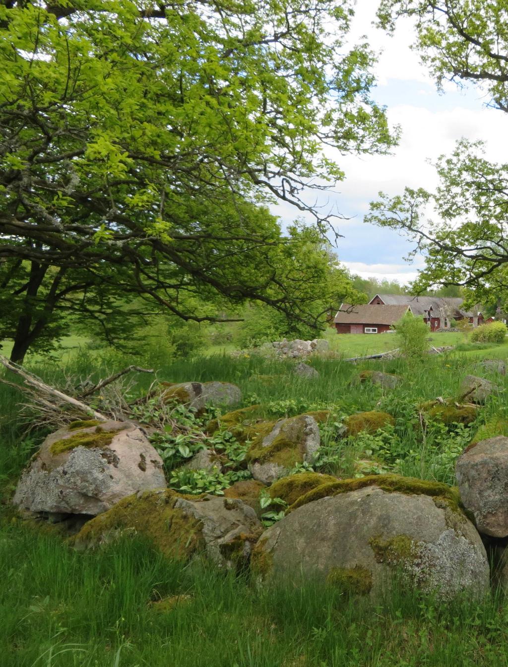 Vissefjärda