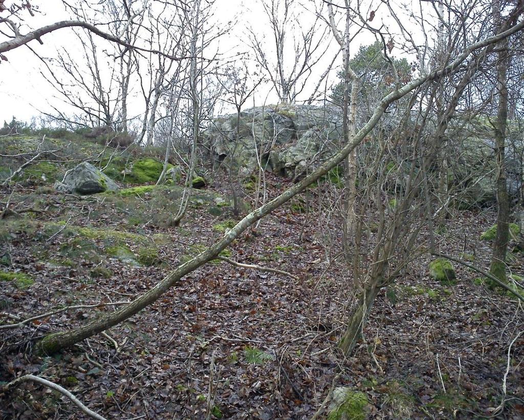 12 (15) av området (se bild 9) men bedöms inte under befintliga förhållanden medföra några större risker för blocknedfall.