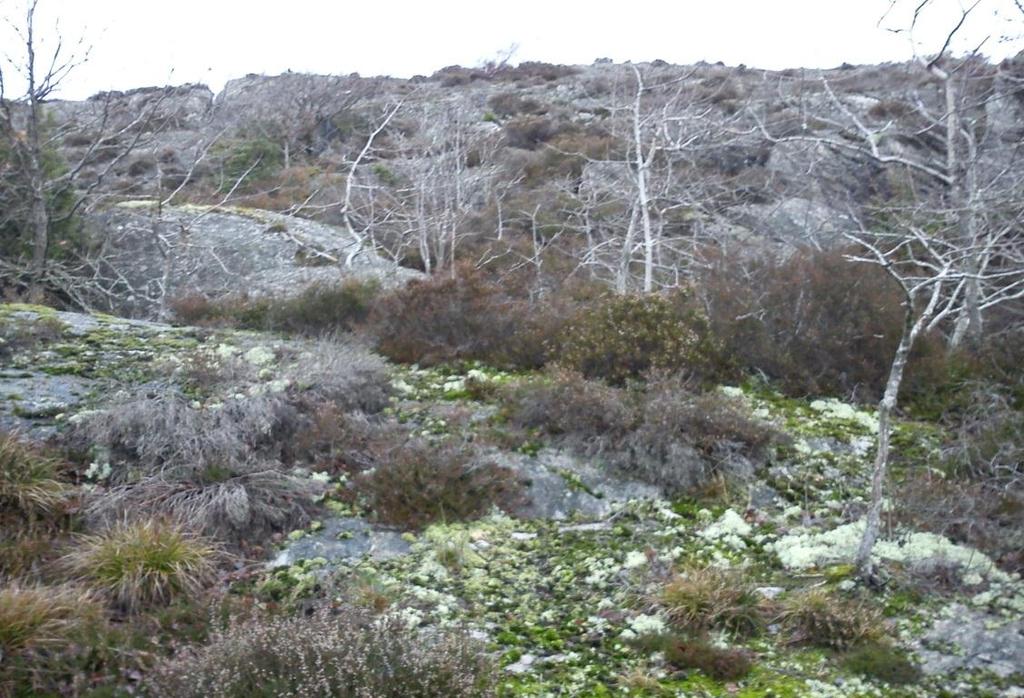 av berg i dagen (se bild 1 & 2) råder inga stabilitetsproblem för