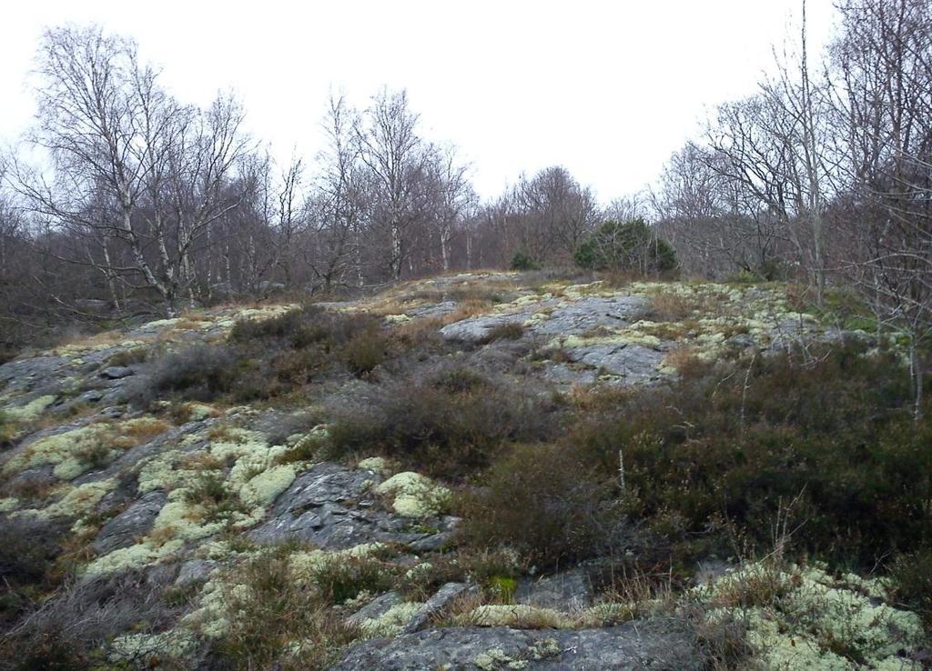 planområdet.