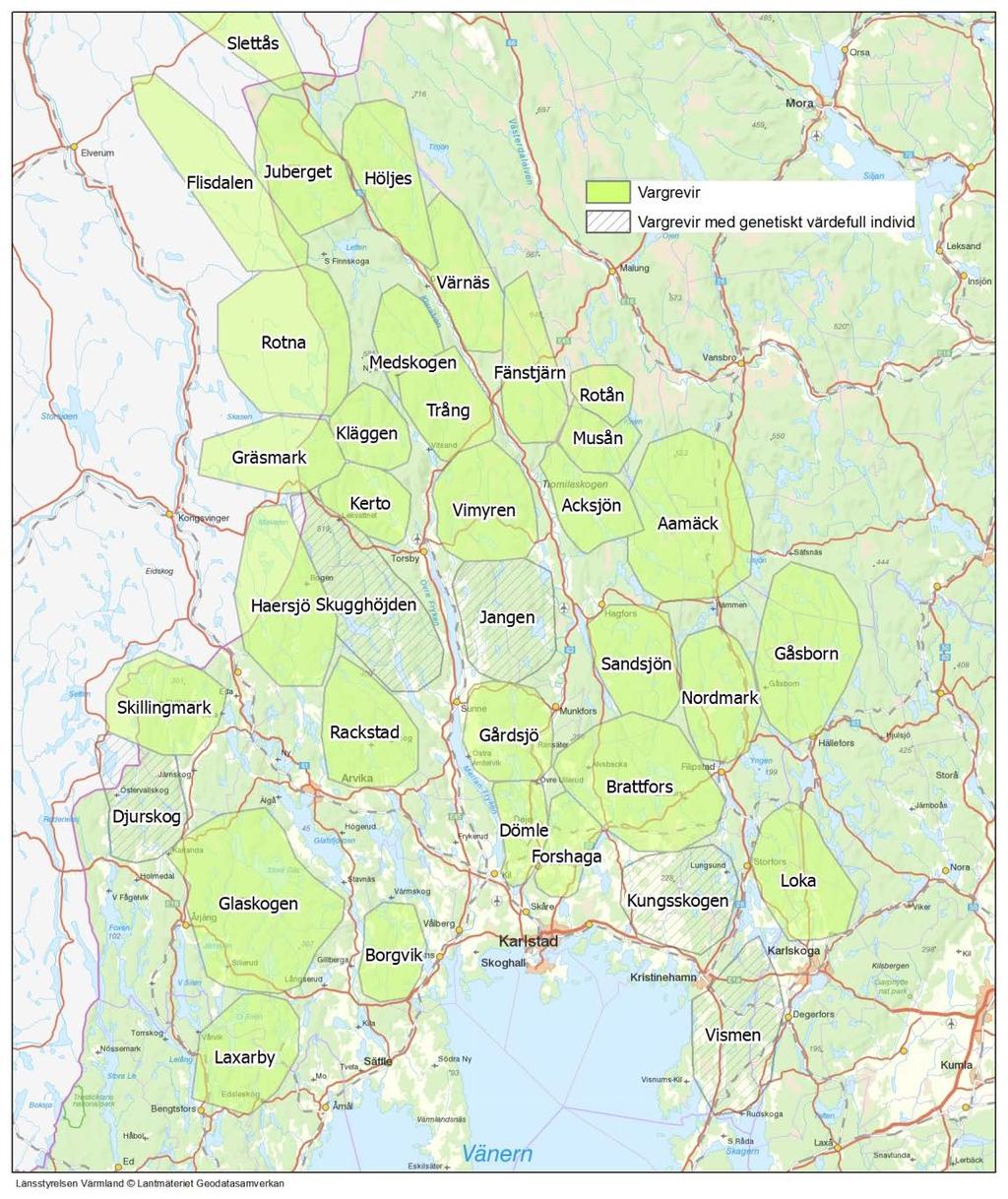 3.7 Vargrevir med genetiskt värdefull individ I fem vargrevir har det under inventeringssäsongen dokumenterats genetiskt värdefulla individer.