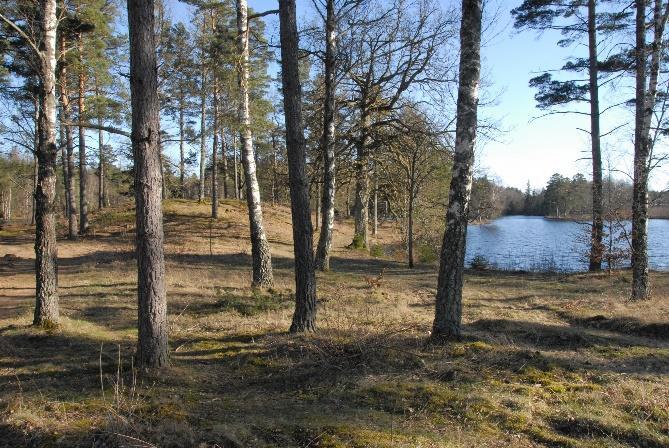 Möljeryd bör dessutom bli aktuell vid diskussion om i vilka stråk det är intessant att dra slingor, just genom att det skulle kunna binda ihop Karlsnäsgården och Ronnebyåområdet med Johannishus