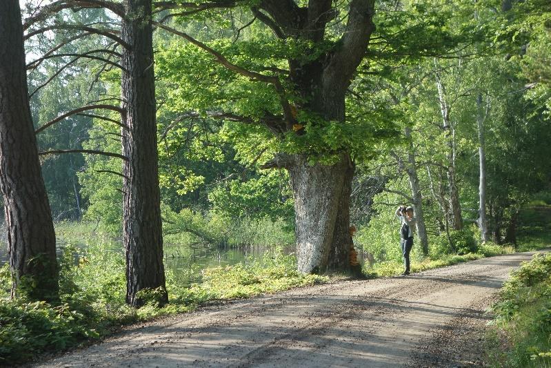 71 Johannishus samhälle ligger också nära Listerbyån, som haft större betydelse förr och på andra sidan ån finner man Hjortsberga gravfält och kyrka, det forntida gravfält som har flest gravar i