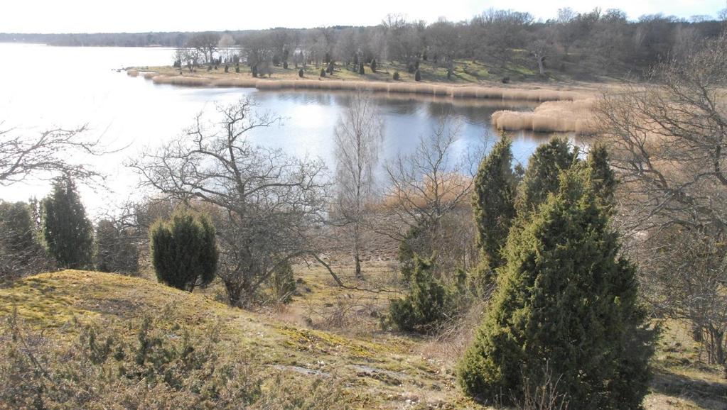 73 Listerby Listerby är ett samhälle med cirka 900 invånare som ligger cirka 8 km öster om Ronneby. Här bor du med närhet till havet och en vacker Blekingekust in på knutarna.