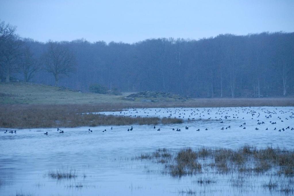 74 Listerby skärgård är namnet på ett nyare naturreservat med en attraktiv natur och ett säreget kulturlandskap som omfattar öarna Arpö, Vagnö och Slädö med angränsande holmar och skär samt