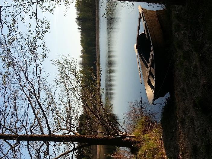 93 VILDMARKSCAMPING OCH OUTDOOR COOKING Låt dig lockas av en fantastisk naturupplevelse i djupet av vildmarken eller varva ner på någon av de många vildmarkscampingarna längs slingan.