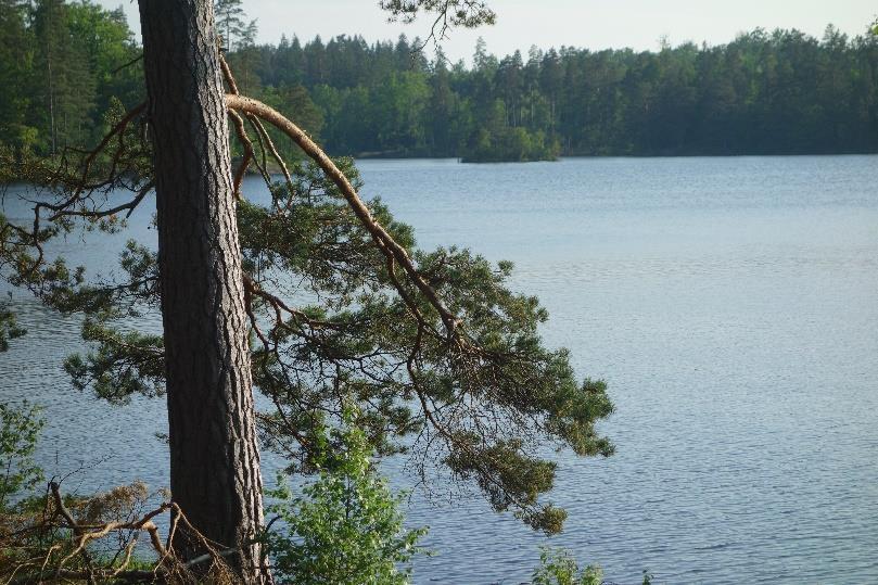 Och tiden då 75% av Blekinge låg under vatten och de lösa jordlagren spolades bort och vattnet fortsatte sitt arbete envist över åren så att de renskurade hällmarkerna kom fram.