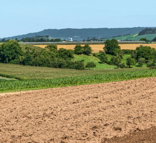 Flexibel, kompakt, effektiv Fendt 200 Vario Profi är en kompakt standardtraktor som ör din arbetsda mer flexibel oh effektiv.