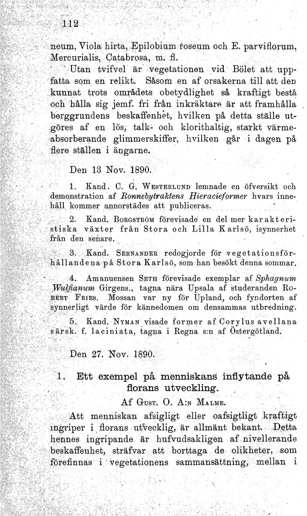 112 neum, Viola hirta, Epilobium roseum och E. parviflorum, M ercurialis, C atabrosa, m. fl. Utan tvifvel är vegetationen vid Bölet a tt u p p fatta som en relikt.