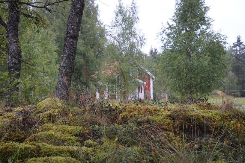 Uppdrag Utöka den fladdermusinventering som gjordes 2014 inför etablering av vindkraft.