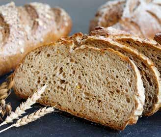 Skåne Mr. Korn 5-Korn Björkö Mr. Korn 5-Korn Grunddeg: Skånebas Vetemjöl Oblandad bagerisikt Jäst Mr. Korn 5- Korn 800 g 800 g 200 g 80 g 675 g Grunddeg: Björkö Vetemjöl Jäst Mr.