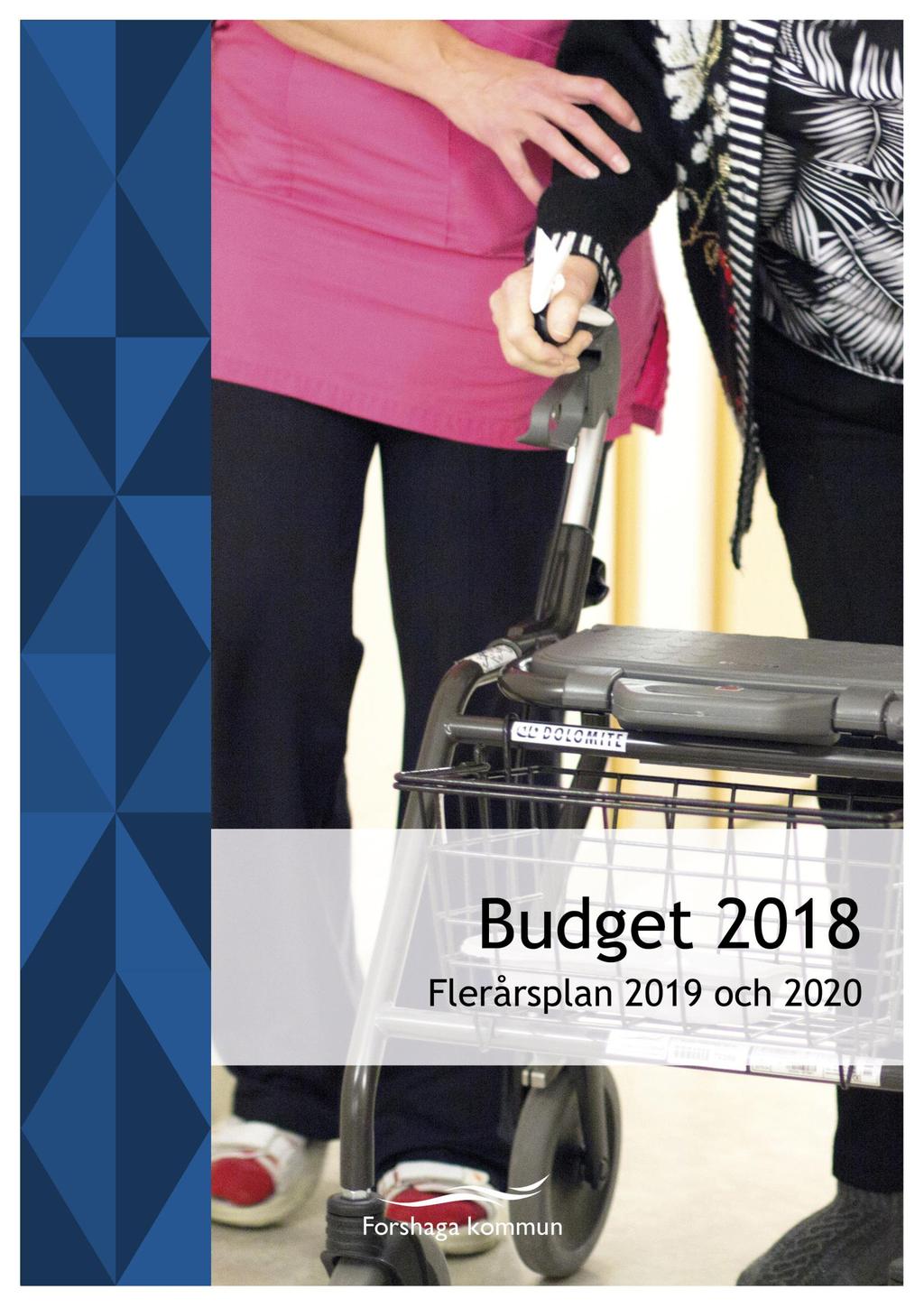 Budget 2018
