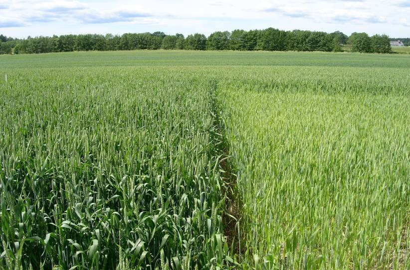 Skara 2007 Division of precision agriculture Report 10