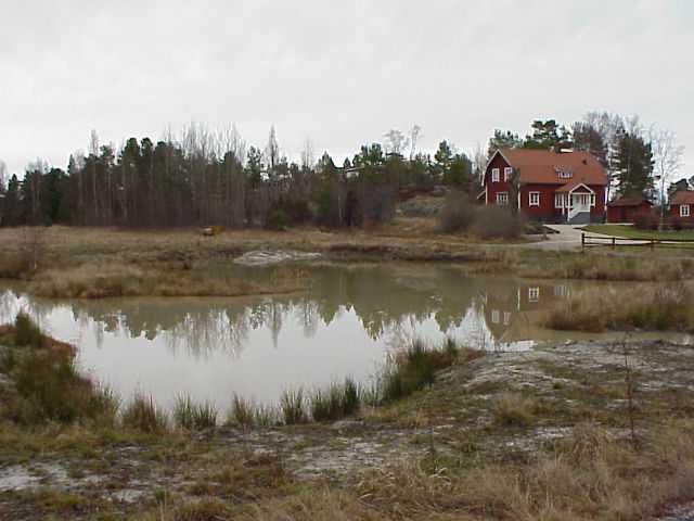 Guttvik våtmark Åmot tora våtmark I Guttvik betår våtmarken egentligen av två anlagda våtmarker bredvid varandra.