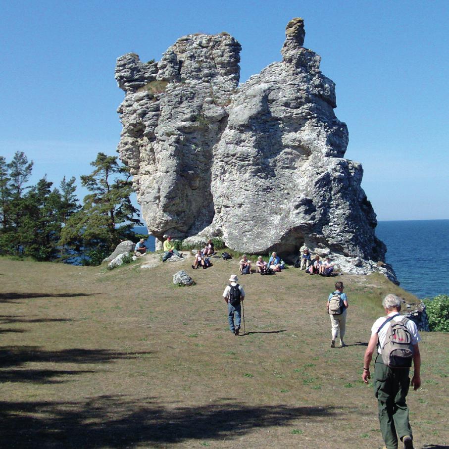 KULTUR / HISTORIA / SAMTIDEN Pilgrimsvandring 10 13 juni Under några dagar får du lära dig om pilgrimsresor
