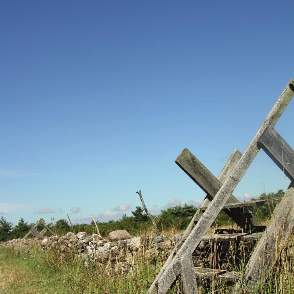 Välkommen till Gotlands folkhögskola! Gotland är en vacker ö mitt ute i havet och om du letar efter en plats med mycket karaktär, kultur och historia har du hittat rätt!