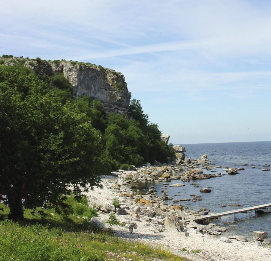 NATUR / BOTANIK Flora och fauna på Stora Karlsö 22 26 maj Ta chansen att under fem dagar få uppleva den fantastiska naturen på Stora Karlsö.
