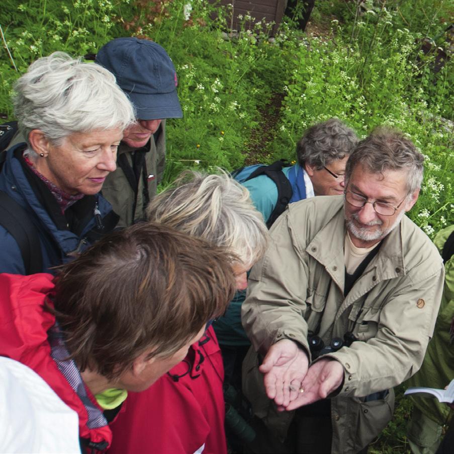 Kursen vänder sig till alla naturintresserade. Under sakkunnig ledning får du tillfälle att fördjupa dig i öns fågelliv, växter, insekter och fossil.