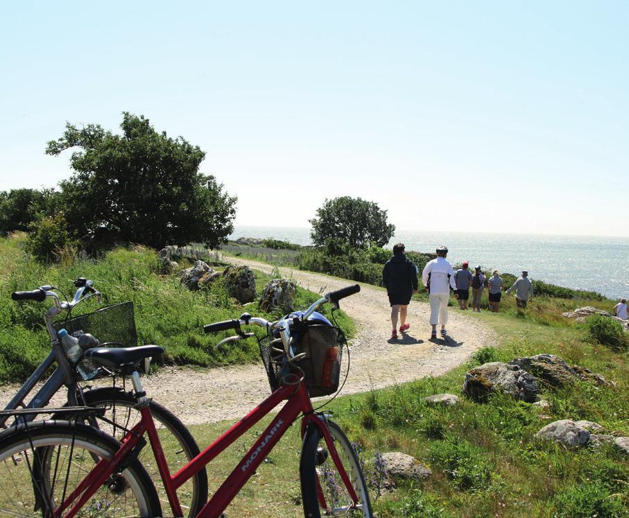 Externatdeltagare: 1 655 kr Kursansvarig Frida Tollerz, tel: 070-713 30 47 Fjärilar och natur på Gotland 7 12 juli Vi gör dagliga utfärder till fjärilsrika marker.