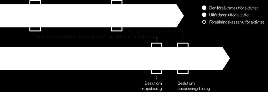 I de fall den försäkrade har ansökt om tilläggsbidrag B behöver Försäkringskassan också veta vilken typ av bil den försäkrade har valt för att bedöma om den kan anses särskilt lämpad för att uppfylla
