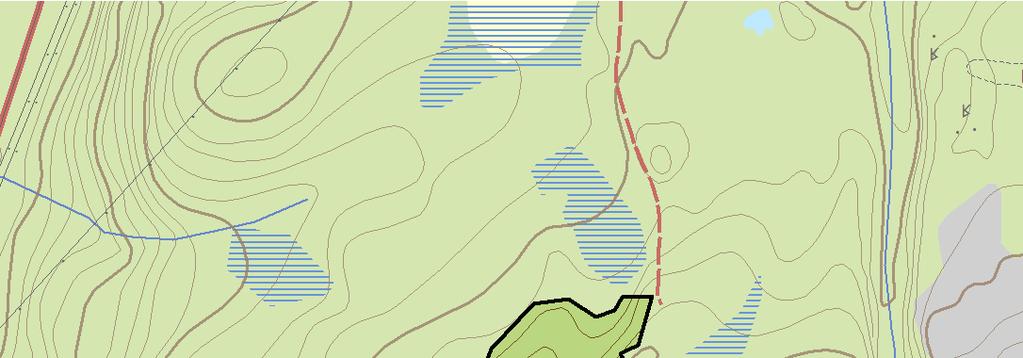 skog Skala 1:10 000 "-