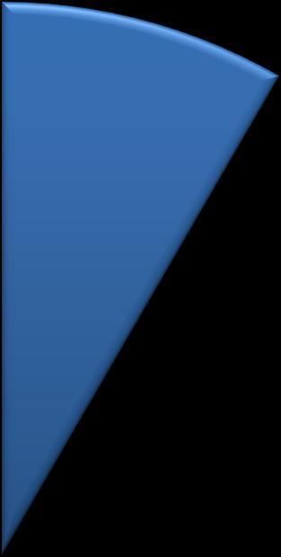 kalla revisorerna