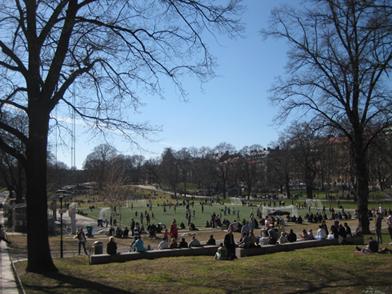 institutionen för stad och