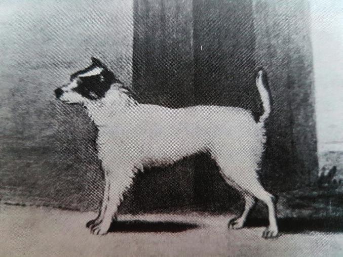 Pastor John (Jack) Russell föddes den 21 december 1795 i Belmont House, Dartmouth in South Devon och hade redan som mycket ung ett stort intresse för jakt och hundar.