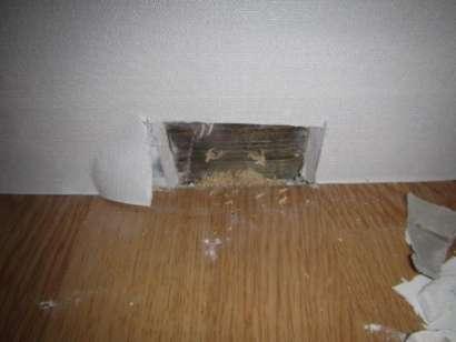 Entréplan / Grundläggning Betongplatta på mark. Ett 5x7 cm hål togs upp i nederkant av ytterväggen åt sydväst i sovrum väster. Ytterväggssyllen är rötskyddsbehandlad troligen med grön Cuprinol.