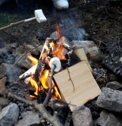 En scout är ärlig och pålitlig. 3. En scout är vänlig och hjälpsam. 4. En scout visar hänsyn och är en god kamrat. 5. En scout möter svårigheter med gott humör. 6.
