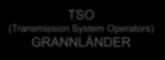 växelströmssystemet * Balansreglering REGIONALA NÄT TSO (Transmission
