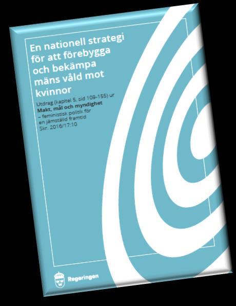Beröringspunkter med den nationella strategin för att förebygga & bekämpa mäns våld mot