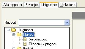 Listgrupper Alla rapporter kan samlas i listgrupper under fliken Listgrupper.