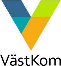 Reviderad handlingsplan Det goda livet för sjuka