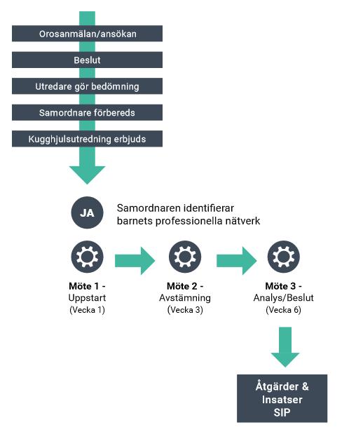ÖVERGRIPANDE PROCESS