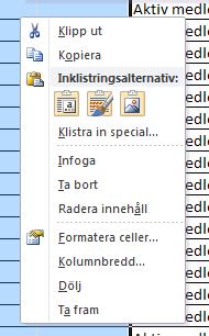 Lena Blom 4(5) 5. Ta bort/dölja kolumn Vill man skriva ut listan är det inte roligt att ha extra kolumner som innehåller för tillfället irrelevant information.