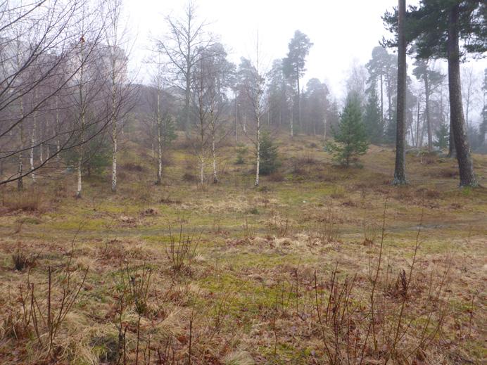 Såsta