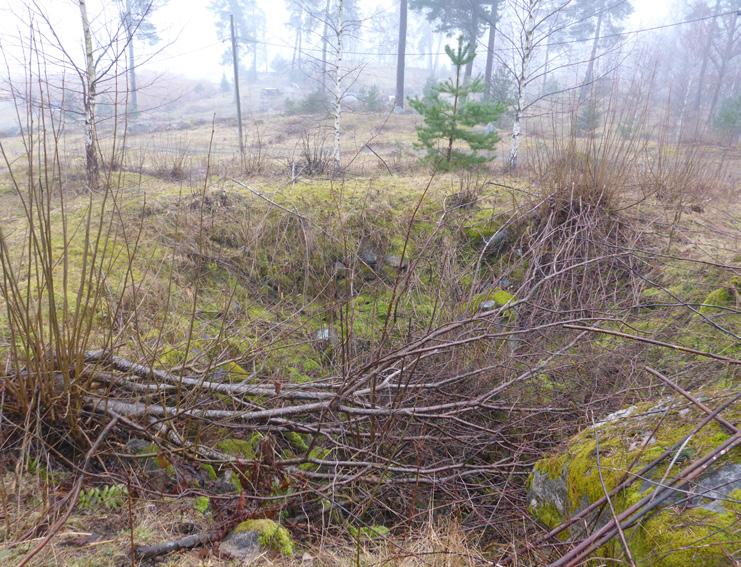 Den fossila åkermarken består av mjuka sluttningar och avsatser som även utgör ett fint boplatsläge. Inom den fossila åkermarken ligger en källargrund, objekt 3, med öppning mot Ö.