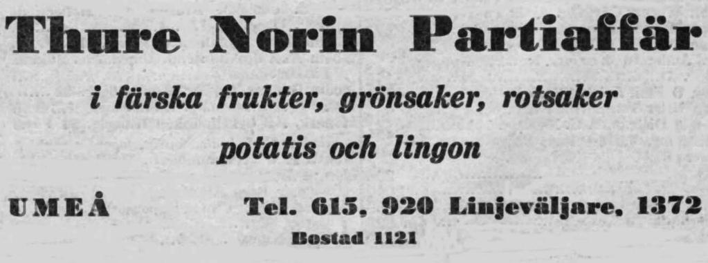Fruktimportör, Partiaffär i färska frukter, såväl svenska som importerade ## - Etablerat 1915 - ## Norin Fruktimportör, Thure Kungsgatan 58 Tel.