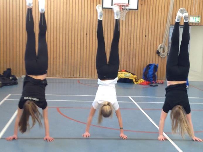 Antagning våren 2019 i Nacka Sportcentrum: Flickor: V. 2 torsdagen den 10/1 kl. 08:00-12:30 Pojkar: V.