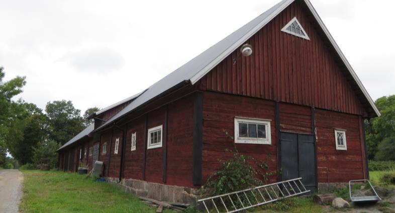 våningar kan ses som en årsring (Plaggebo 1:9).