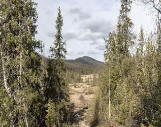 Daimadalen Daimadalen är en drygt tre mil lång skogsklädd fjälldalgång som sträcker sig från sjön Ankarvattnet i väster och nästan ända fram till Saxån i öster.