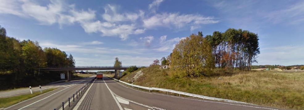 Trafikplats 124 Morgendal 38/900 Befintlig vegetation Befintlig vegetation föreslås gallras ur med sikte på ek.