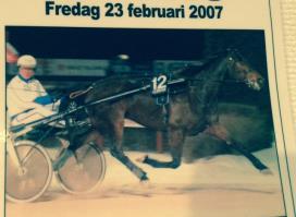 ston (början vid 2 år?